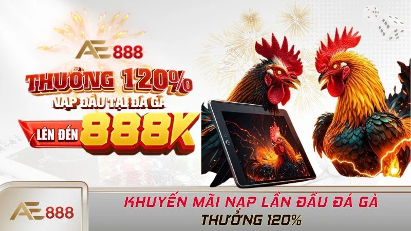 Khuyến mãi nạp lần đầu đá gà - Thưởng 120%