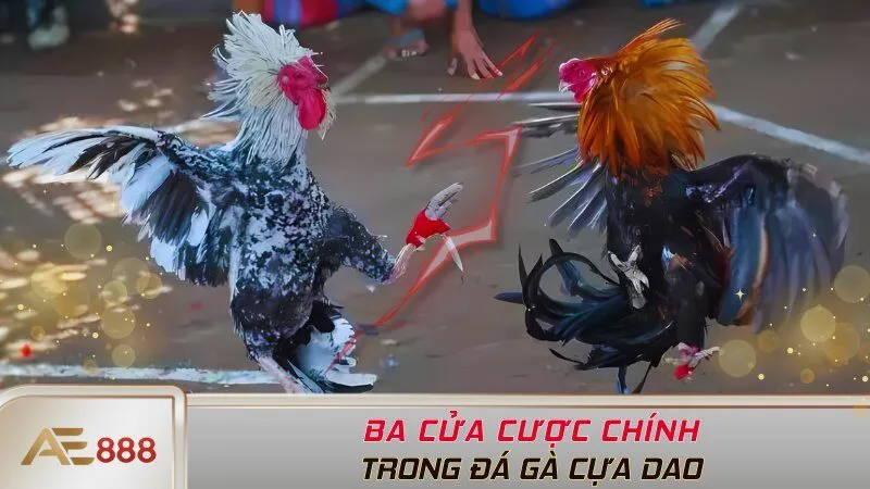 Ba cửa cược chính