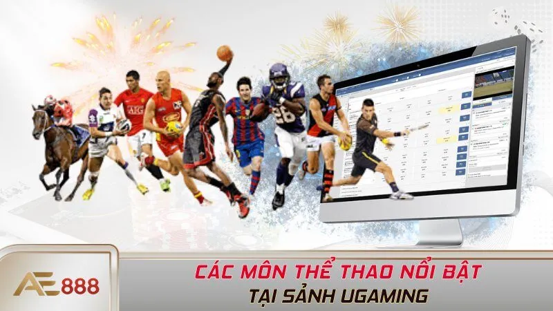 Các môn thể thao nổi bật