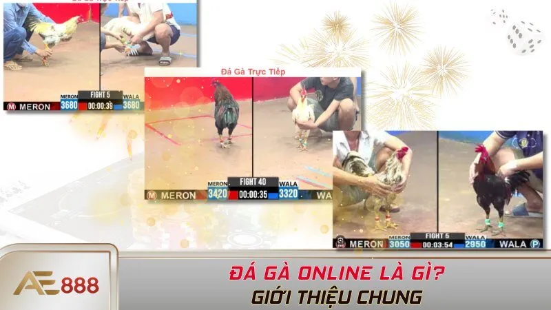 Đá gà online là gì?