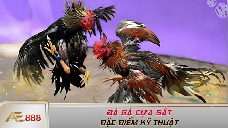 Đặc điểm kỹ thuật