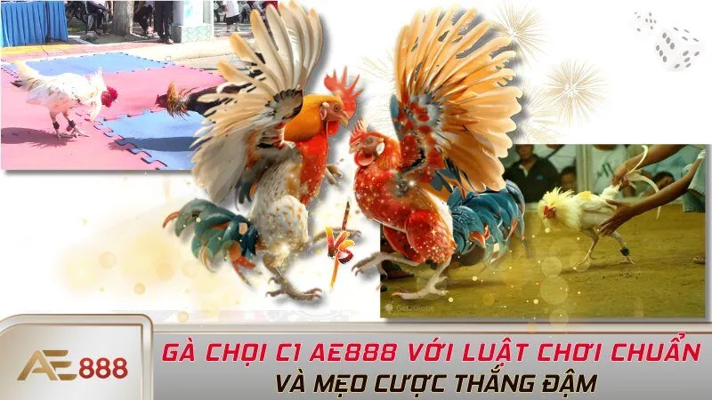 Gà Chọi C1 AE888 Với Luật Chơi Chuẩn Và Mẹo Cược Thắng Đậm