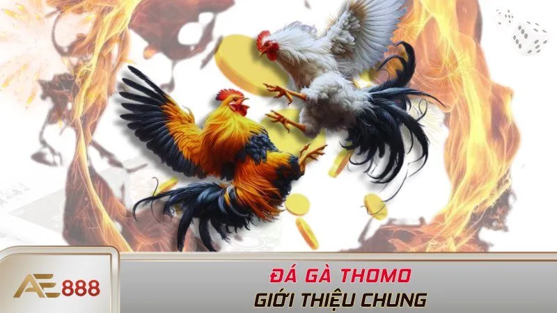 Giới thiệu chung