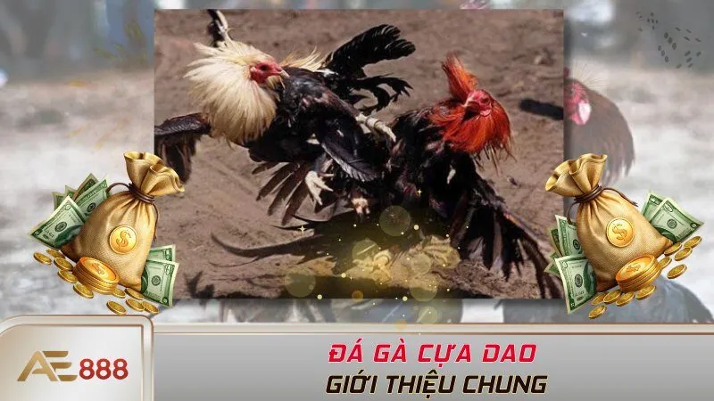 Giới thiệu chung