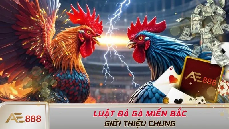 Luật đá gà miền Bắc là gì?