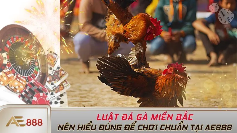 Luật Đá Gà Miền Bắc Nên Hiểu Đúng Để Chơi Chuẩn Tại AE888
