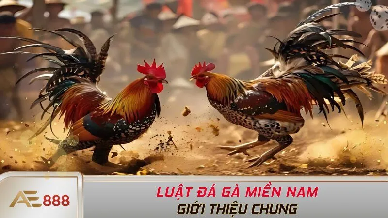 Luật đá gà miền Nam là gì?