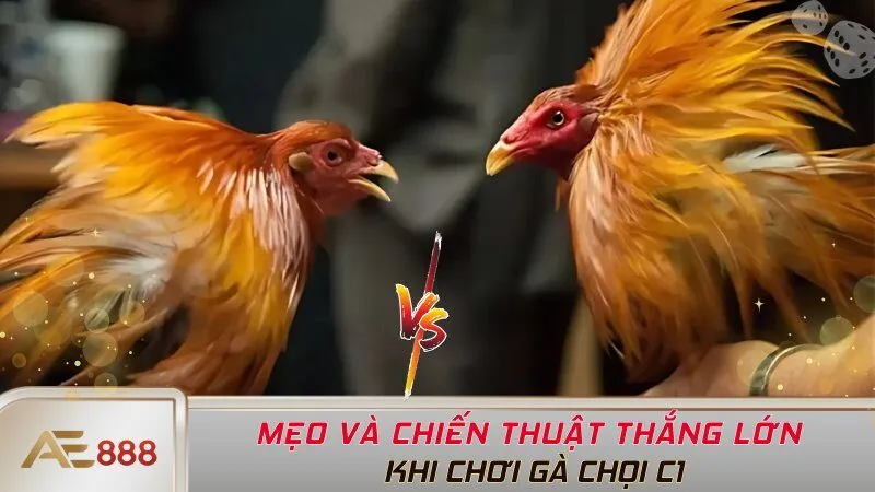 Mẹo và chiến thuật thắng lớn