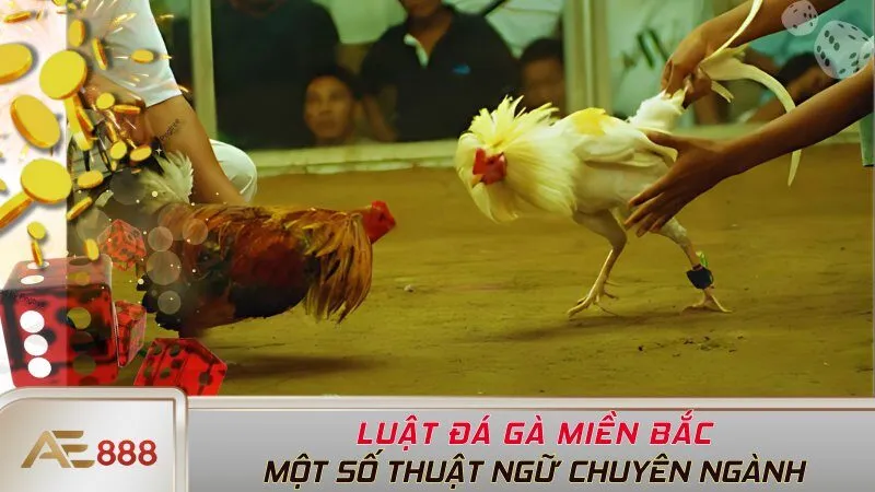 Một số thuật ngữ chuyên ngành