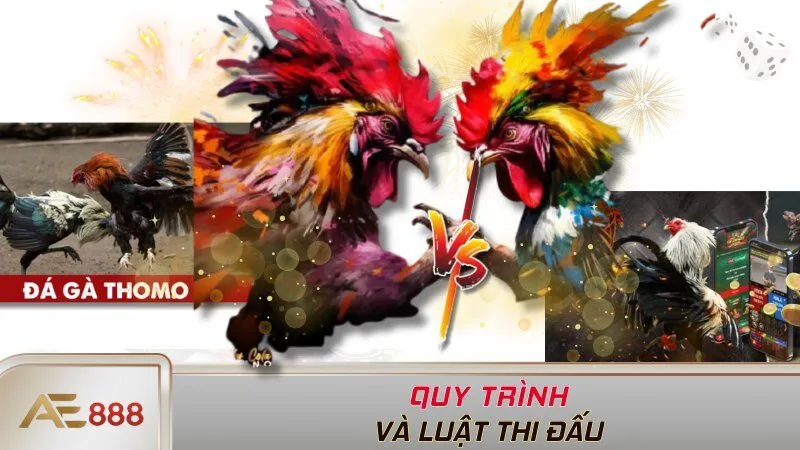 Quy trình và luật thi đấu