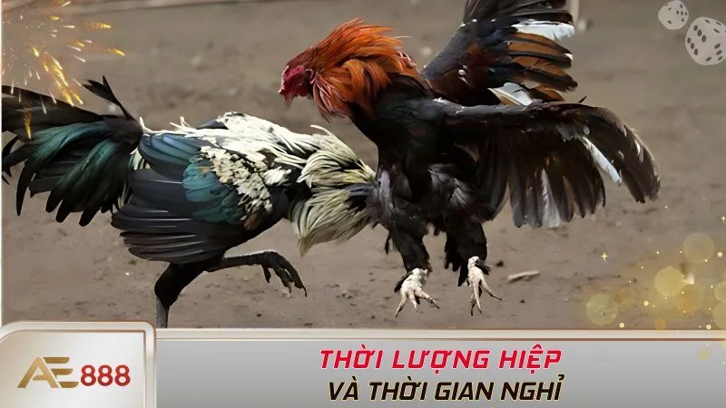 Thời lượng hiệp và thời gian nghỉ