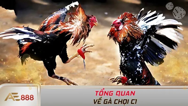 Giới thiệu tổng quan