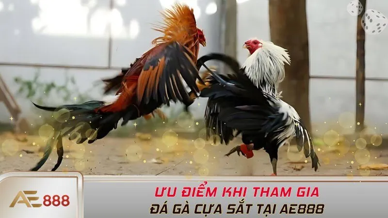 Ưu điểm khi tham gia chơi